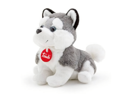 Cachorro Husky - Puppy - Trudi