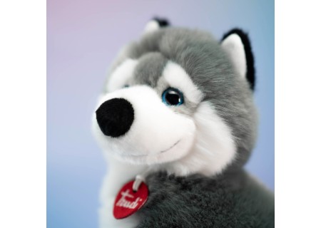 Cachorro Husky - Puppy - Trudi