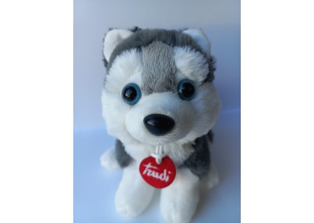 Cachorro Husky - Puppy - Trudi