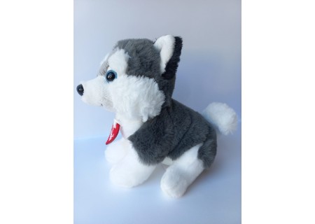 Cachorro Husky - Puppy - Trudi