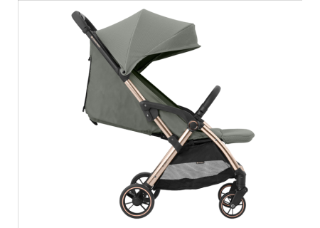 Silla de Paseo Ligera EDEN