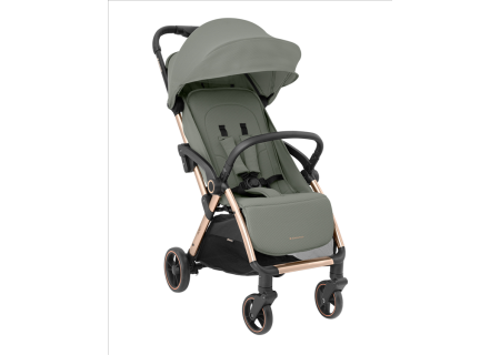 Silla de Paseo Ligera EDEN