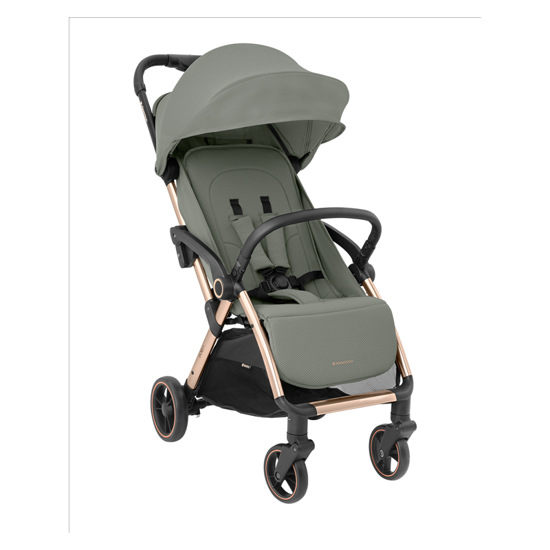 Silla de Paseo Ligera EDEN