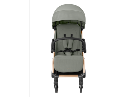 Silla de Paseo Ligera EDEN