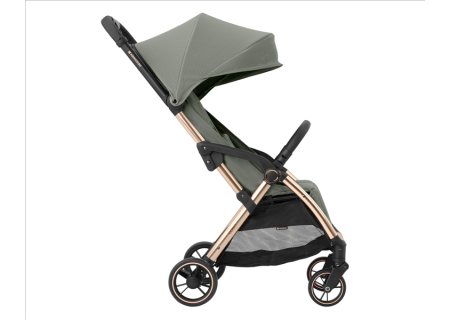 Silla de Paseo Ligera EDEN
