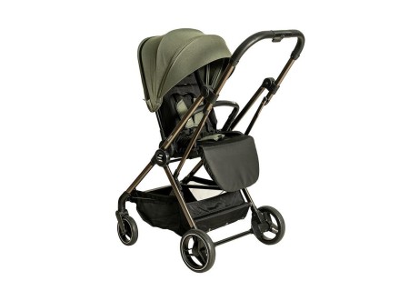 Silla de Paseo Reversible Eolia