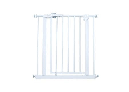Puerta de Seguridad Olmitos.