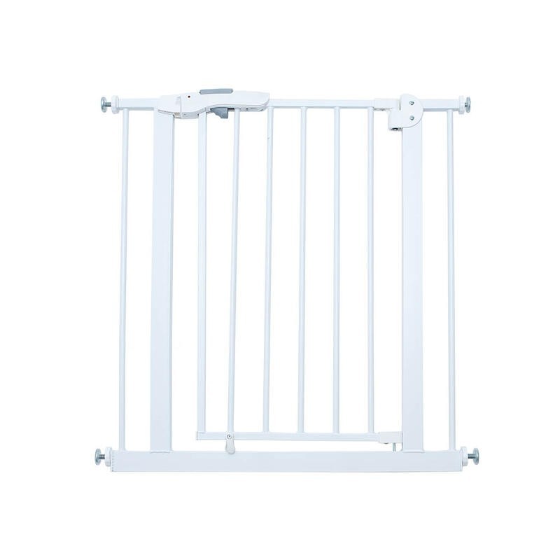 Puerta de Seguridad Olmitos.
