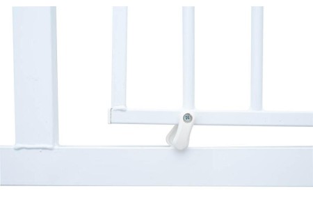 Puerta de Seguridad Olmitos.